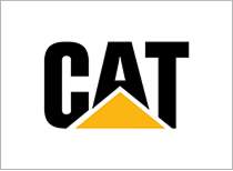 cat 2